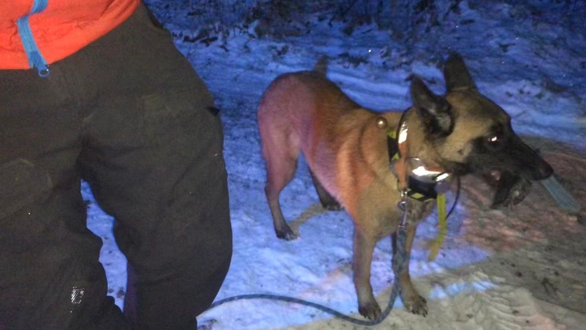 Ztracenou ženu našel mezi šumavskými močály záchranářský pes. Byla v bezvědomí